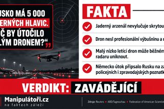 Zeman spojil autora dopisu se sudetoněmeckým sjezdem. Johann Slezak však pořadatele nezastupuje